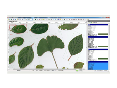 植物图像分析仪/叶面积测量仪